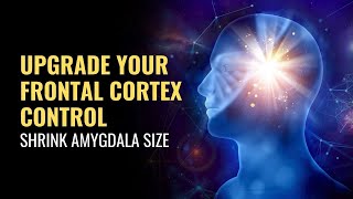 Shrink Amygdala Size  Upgrade Your Frontal Cortex Control  Overcome Fear Response and Anxiety [upl. by Aicek]