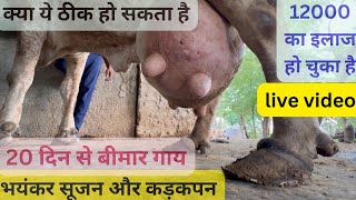 Fibrous and oedematous mastitis  थनेला [upl. by Elmajian]