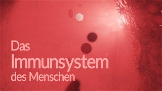 Immunsystem des Menschen  Aufbau und Funktion Animation [upl. by Htebazle]