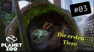 Die ersten Tiere I3I Planet Zoo [upl. by Roydd]