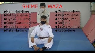 Judo ShimeWaza  Estrangulamentos [upl. by Ursala516]