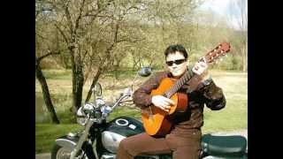 francky le gitan [upl. by Auqinal]