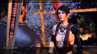 Dragon Age Origins  Morrigan Asks for Flemeth to Die [upl. by Trinia772]