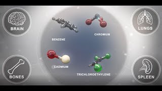 The Effects of Volatile Compounds on the Human Body [upl. by Gimpel]