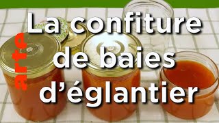 La confiture de baies déglantier  Karambolage  ARTE [upl. by Hazaki]