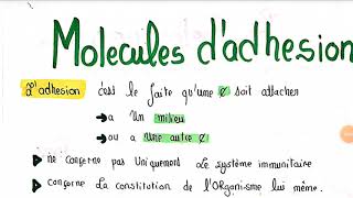 💚molecule dadhésion [upl. by Nosoj150]