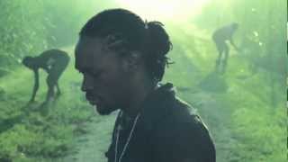 Tydal  Tell Dem Fi Farm Official HD Video [upl. by Bilak204]