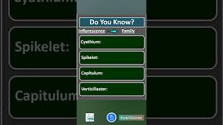 Inflorescence and Angiosperm Plant Families shorts [upl. by Koehler]