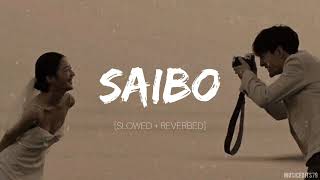 Saibo  SLOWED  REVERBED  Musicedits79 [upl. by Addia]