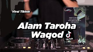 ALAM TAROHA WAQOD  VIRAL TIKTOK [upl. by Sirret]