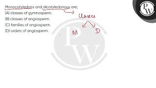 Monocotyledons and dicotyledonous are [upl. by Yrgoerg407]