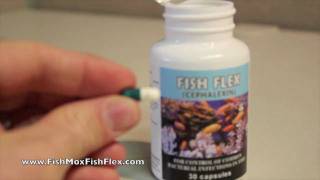 Fish Flex Cephalexin 250 mg Fish Antibiotic [upl. by Ahsemak]