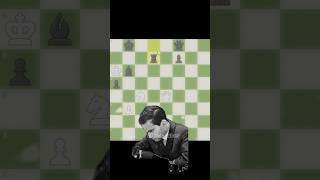 Mikhail Tal Brilliancy ✨♟️shorts chess [upl. by Nairam323]