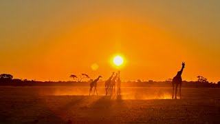 Deserts and Delta in Botswana [upl. by Neeli]