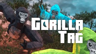 Gorilla Tag Store Launch  Meta Quest [upl. by Grannias]