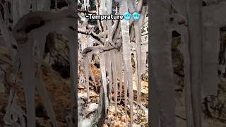 Sangla kinnaur me hue itni jyada thand🥶🥶 sangla cool nature beautiful ytshorts viralvideo [upl. by Harriott]