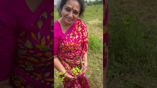 Happy gardening 🌻🌻🌻 seetha cooking villagechef delicious food chefrecipes gardeningideas [upl. by Fabian811]