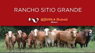 53 Rancho Sitio Grande 2016 [upl. by Anitsua]