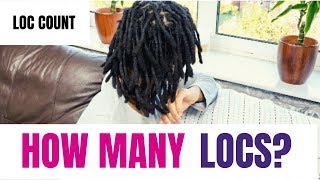 LOC COUNT HOW MANY LOCS DO I HAVE KIESHA ARIELLE [upl. by Anastasie]