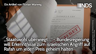 „Staatswohl überwiegt…“ Bundesregierung will Erkenntnisse zu Israels Angriff auf Rafah geheim halten [upl. by Aicemaj176]