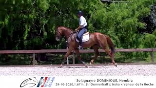 SOLAGUAYRE DOMINIQUE  Montada [upl. by Wengert]