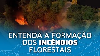 Entenda como são formados os incêndios florestais [upl. by Dnomra682]