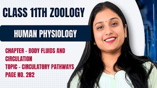 CLASS 11TH  BODY FLUIDS AND CIRCULATION  CIRCULATORY PATHWAYS  NCERT PAGE NO 282 [upl. by Rogergcam]