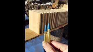 308 VS 3006 Barnes X Bullet Penetration Test [upl. by Means]