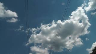 Buzzing power lines at Oak Pond Sicklerville NJ [upl. by Sofie]