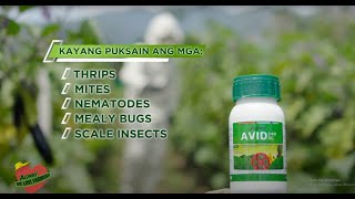 Agway Chemicals Corporation  AVID 240 SC Insecticide [upl. by Eittol259]