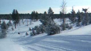 Snowmobiling Newberry Michigan area JAN 2009 [upl. by Anderea65]