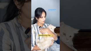 Don’t skip deworming cats cathealth catlover vizagcat catsofvizag mojocatgang telugucat yt [upl. by Jaunita410]