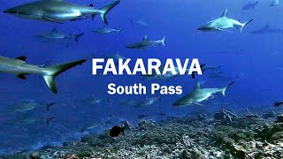 Fakarava  South Pass 2021 [upl. by Htebazie678]