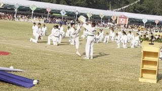 Taekwondo display on Birsrestha Mushi Abdur Rouf Public Collage annual sports 2024🥋🥋🥋 [upl. by Lisan]