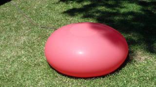 5ft Giant Balloon [upl. by Starkey]