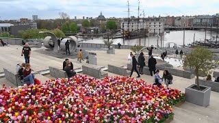 Tulp Festival Amsterdam 2024 deel 5 Dakterras NEMO [upl. by Dominique]