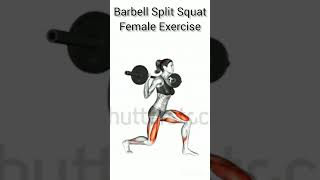 Barbell Split Squat female Exercise shortvideo bodybuildingexerciseatgym gymequipment [upl. by Namreh]