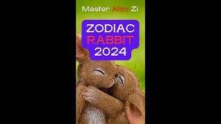 Zodiac “RABBIT” Forecast for 2024 the Year of Wood Dragon [upl. by Waneta]