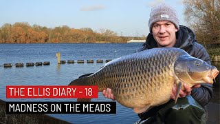 THE ELLIS DIARY  MADNESS ON THE MEADS [upl. by Shaner391]