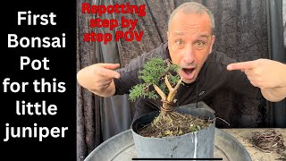 Mini bonsai shimpaku juniper gets its first bonsai pot Repotting bonsai 101 step by step POV [upl. by Morris]