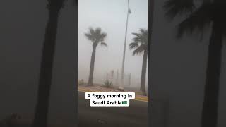 expatlifeinsaudiarabia A foggy morning in Saudi Arabia🇸🇦 foggymorning [upl. by Aettam]