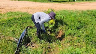 Massive Blocked Drain In Culvert Drain Removal Lots Grass Stuck In Drain [upl. by Donetta]