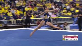 Nicoletta Koulos Floor Michigan vs Oklahoma 2023 9925 [upl. by Aibos]