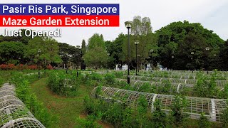 Lets Explore the New Maze Garden Extension at Pasir Ris Park Singapore  Walking and Scenic Tour [upl. by Carolin985]