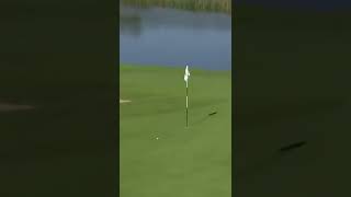 Tiger Woods was ANOTHER LEVEL 👏 [upl. by Eca299]