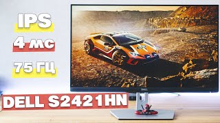 Обзор монитора DELL S2421HN IPS FullHD 75hz Универсальный монитор почти без недостатков [upl. by Nage801]