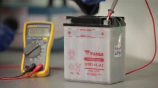 Yuasa Battery Basics 4  Battery Charging [upl. by Amorette]