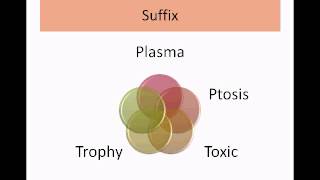 Medical Terminology Part 1Intro to Root Prefix Suffix [upl. by Swisher]