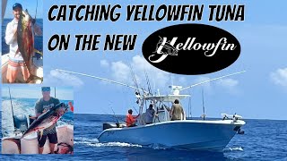 CATCHING YELLOWFIN TUNA ON THE NEW YELLOWFIN 32 Fishing the Otherside Of The Gulf Stream For Tuna [upl. by Ehsiom]