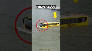 Este autobús se METIÓ en un LAGO 😱💸 [upl. by Minnnie237]